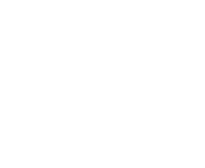 Завод Арктика